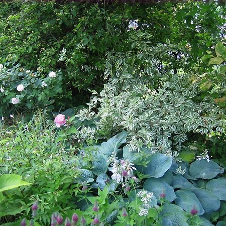 Il Giardino Dell'Artemisia Villa Pila  Eksteriør billede