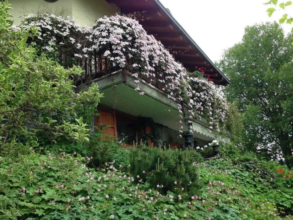 Il Giardino Dell'Artemisia Villa Pila  Eksteriør billede
