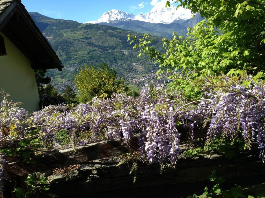 Il Giardino Dell'Artemisia Villa Pila  Eksteriør billede