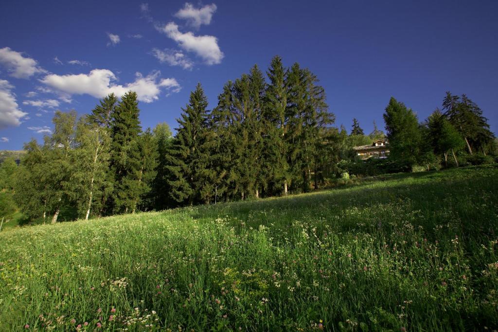 Il Giardino Dell'Artemisia Villa Pila  Eksteriør billede